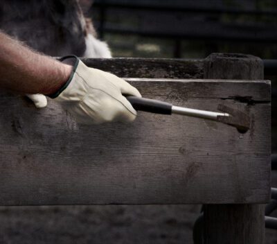 1653 Man Handlers Leather Ranch Glove