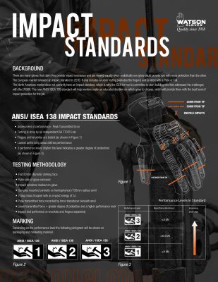 Impact Standards Flyer Infographic Impact Standards Flyer Infographic