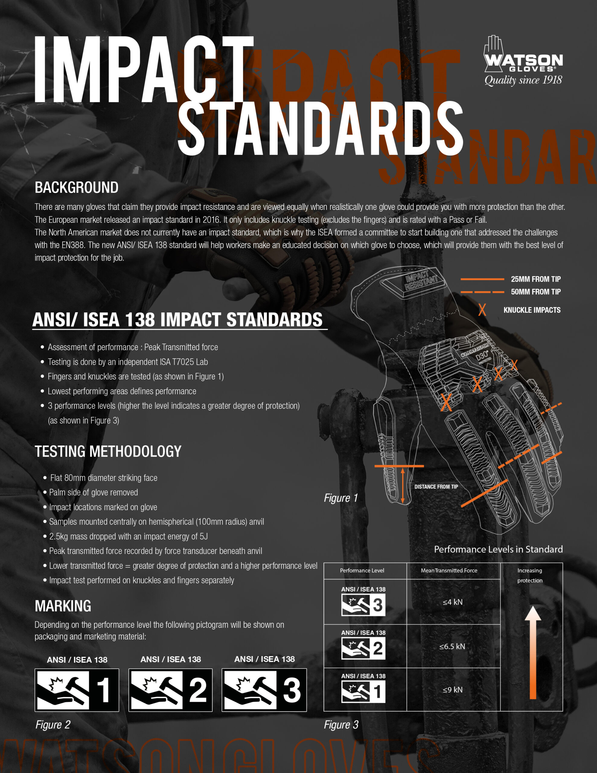 Impact Standards Flyer Infographic