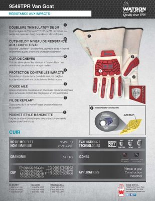 9549TPR Winter Scape Goat Spec Sheet French