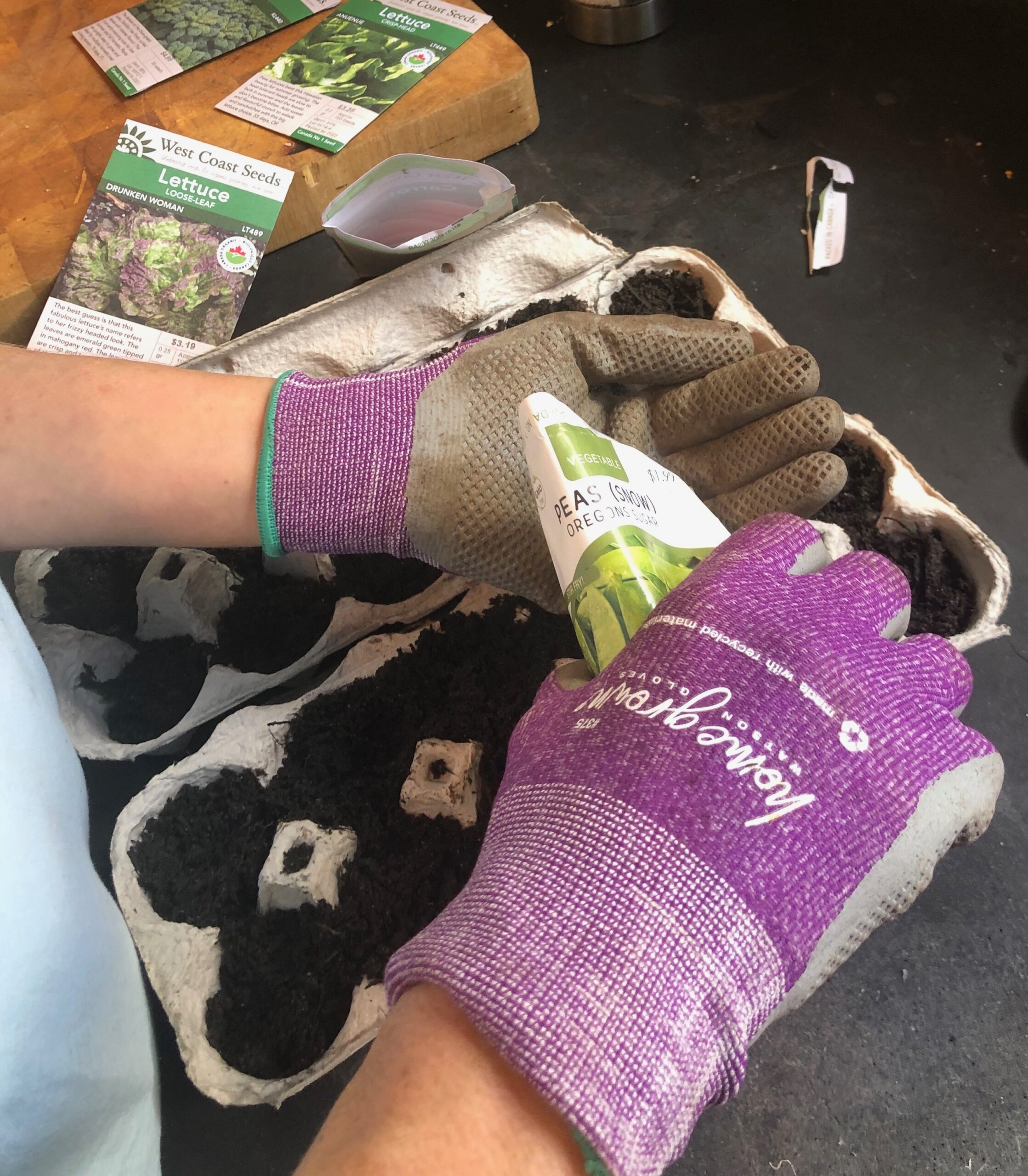 Gardening 101 Karma Vertical Gardening 101 Karma Vertical