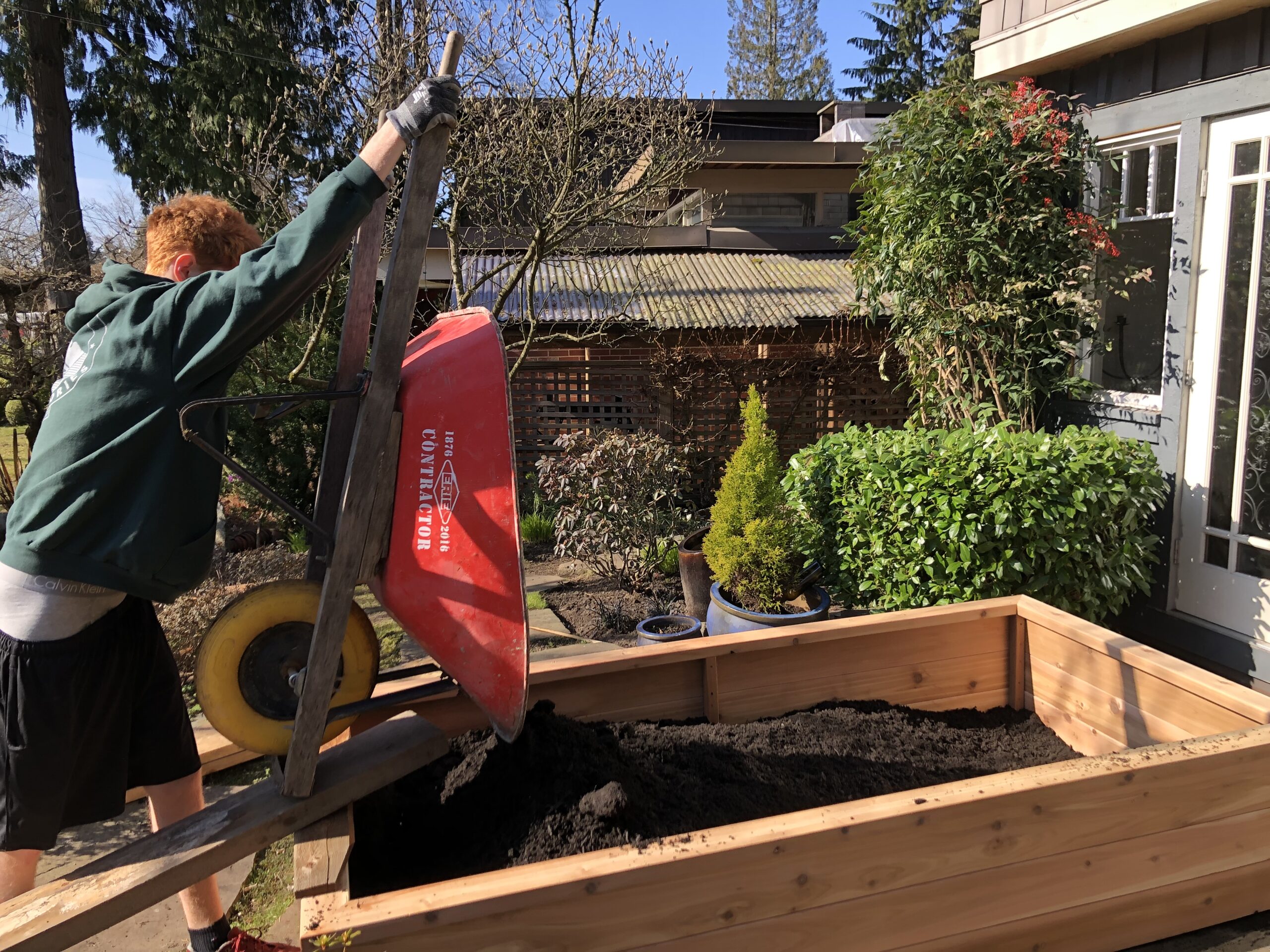 Victory Garden Modern