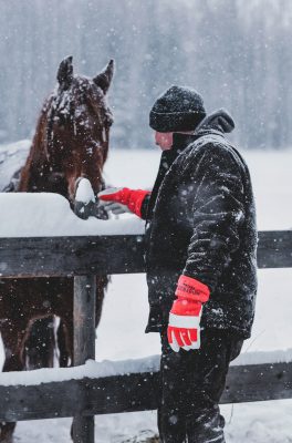 LARGE_ Red Baron Winter Work Glove