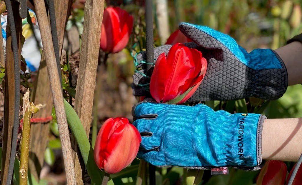 Canadian Tires Yardworks WasteNot Gloves Floral Print