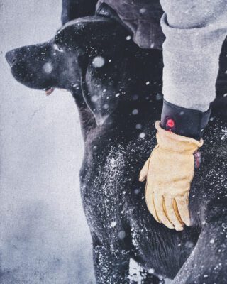 9509 Black Ice Heated Winter Glove Liner