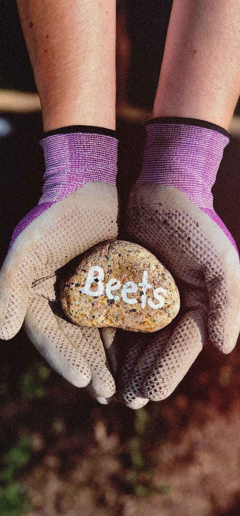 karma 375 sustainable homegrown gardening gloves