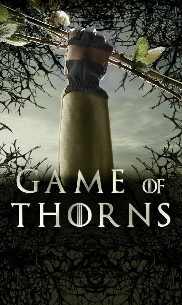 Game-Of-Thorns_Tag-Lighter