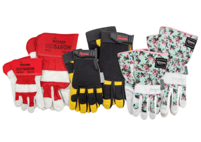 Adult and Kids Glove Pairs