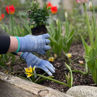 317 Lite As a Feather Glove in the Garden