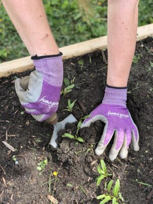375 Karma Gardening Glove in Raised Garden Bed