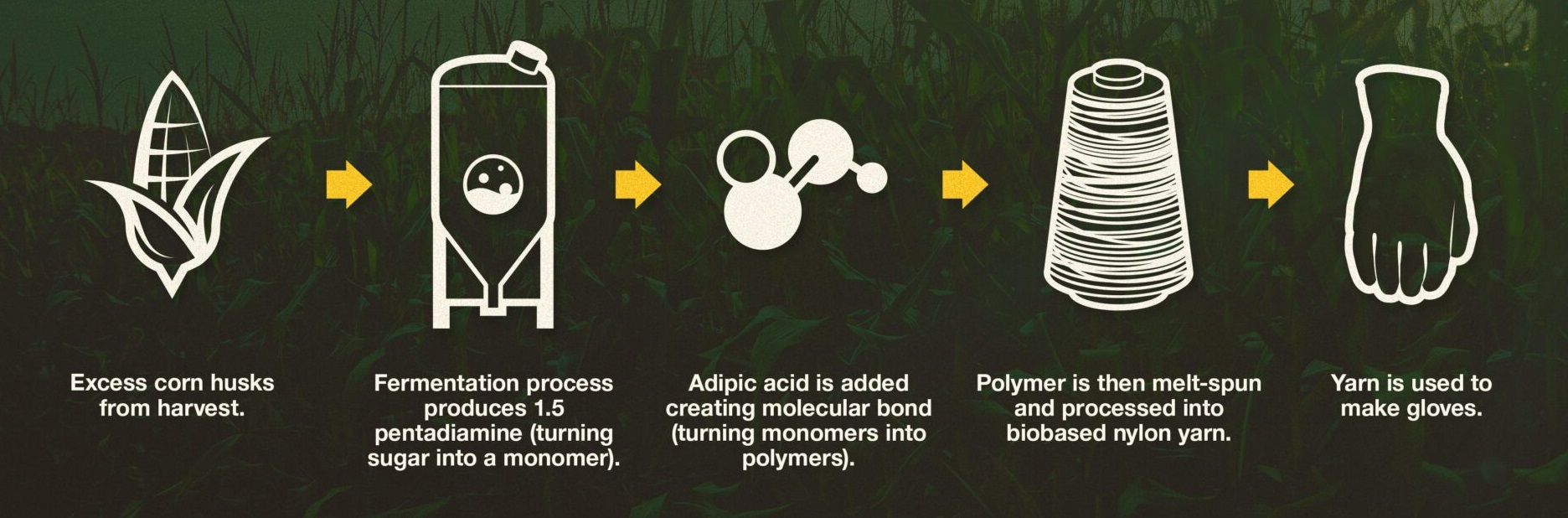 Corn-Process-scaled Corn-Process-scaled