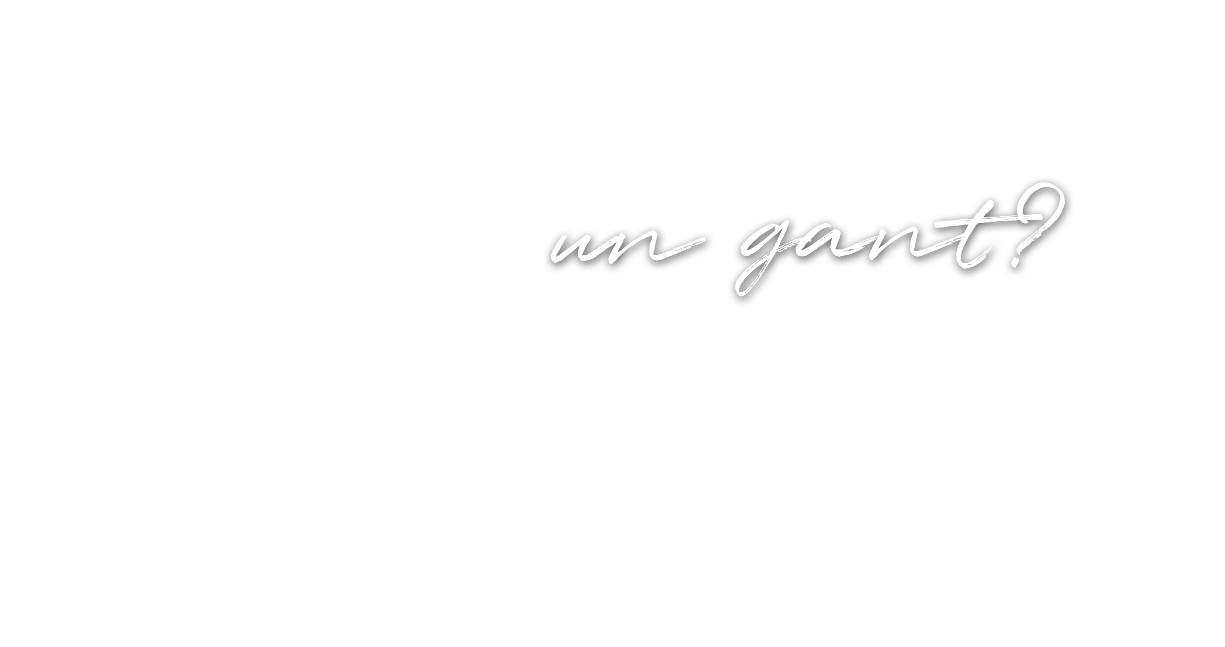 Bannière des carrières copy_anglais
