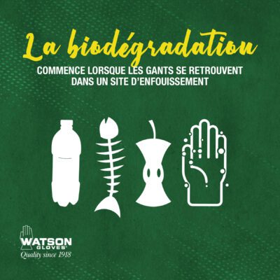 Green Monkey Landing Page Images_French_2