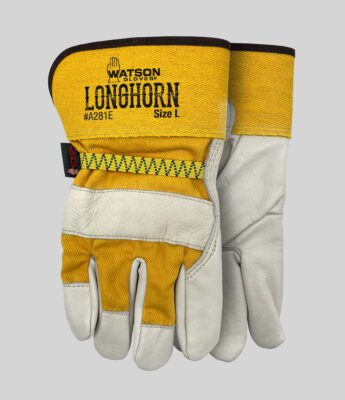 A281E Longhorn