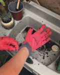 Application photo 3
