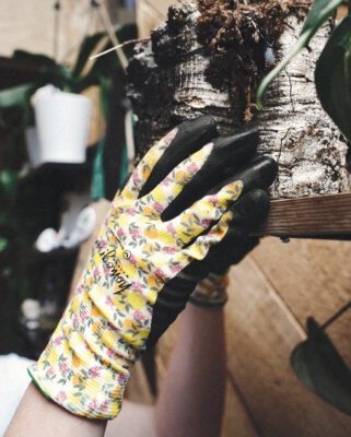 344 Lemon Drop Gloves