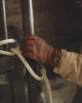 Application photo 2