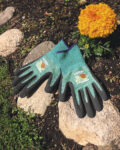 Application photo 2